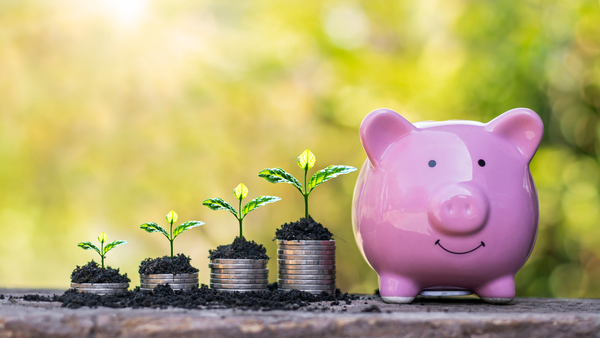 Mutual Funds for Beginners: Frequently Asked Questions